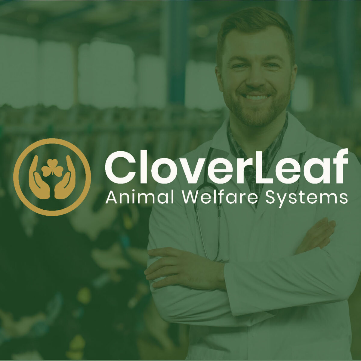 CloverLeaf AWS